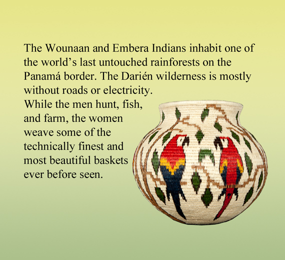 Introduction to the Art of the Wounaan